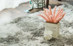 常熟賽芙蓉纖維制品有限公司，丙綸短纖維，丙綸短纖，pp短纖，功能丙綸短纖維